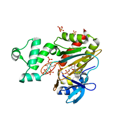 BU of 8ppf by Molmil