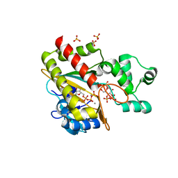 BU of 8pph by Molmil