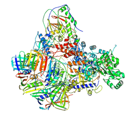 BU of 8ppu by Molmil