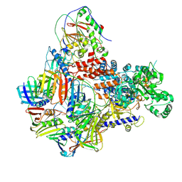 BU of 8ppv by Molmil