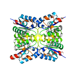 BU of 8pqr by Molmil