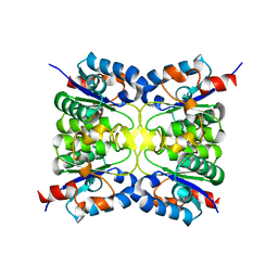 BU of 8pqs by Molmil