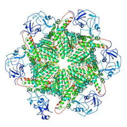 BU of 8pqx by Molmil