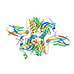 BU of 8pr7 by Molmil