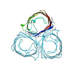 BU of 8prn by Molmil