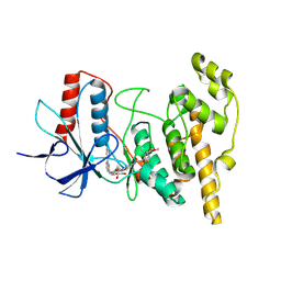 BU of 8pta by Molmil