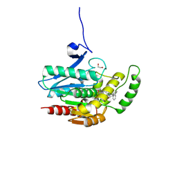 BU of 8ptc by Molmil