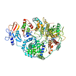 BU of 8ptj by Molmil