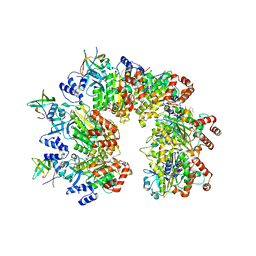 BU of 8ptm by Molmil