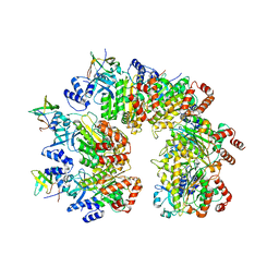 BU of 8ptn by Molmil