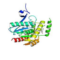 BU of 8ptq by Molmil