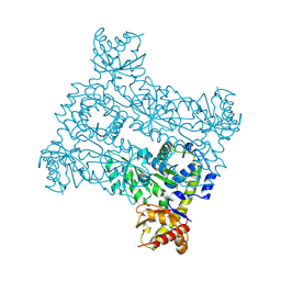 BU of 8pus by Molmil