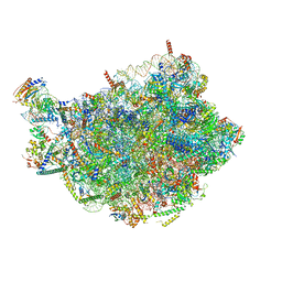 BU of 8pv1 by Molmil