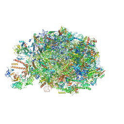 BU of 8pv2 by Molmil