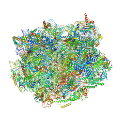 BU of 8pv5 by Molmil