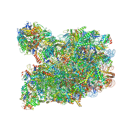 BU of 8pv6 by Molmil