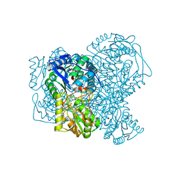 BU of 8pvh by Molmil