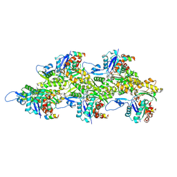 BU of 8pvx by Molmil