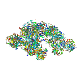 BU of 8pw6 by Molmil