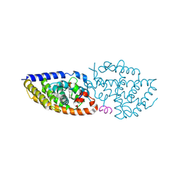 BU of 8pwd by Molmil