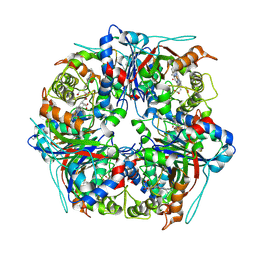 BU of 8pws by Molmil