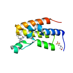 BU of 8px2 by Molmil