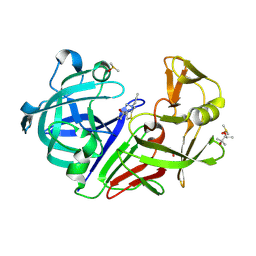 BU of 8pxi by Molmil