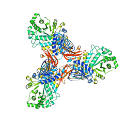 BU of 8pxt by Molmil