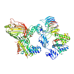 BU of 8pz1 by Molmil