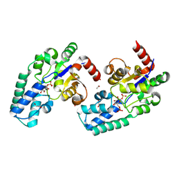 BU of 8q1f by Molmil