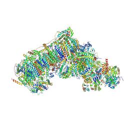 BU of 8q1u by Molmil