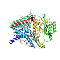 BU of 8q2p by Molmil