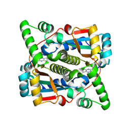 BU of 8q5g by Molmil