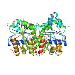 BU of 8q5x by Molmil