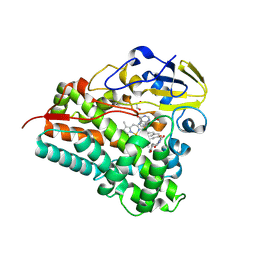 BU of 8q6y by Molmil