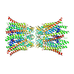 BU of 8qa0 by Molmil