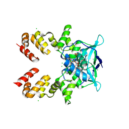 BU of 8qa8 by Molmil