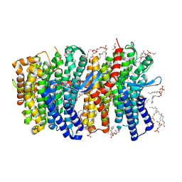 AU of 8qc1 by Molmil