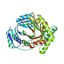 BU of 8qc4 by Molmil