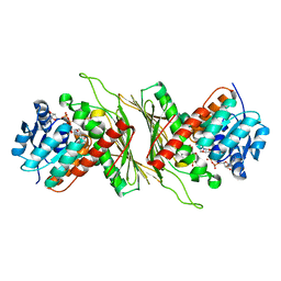 BU of 8qc6 by Molmil