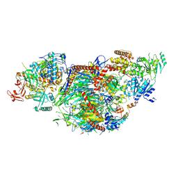 BU of 8qcf by Molmil