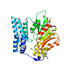 BU of 8qd1 by Molmil