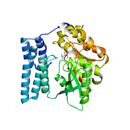 BU of 8qd4 by Molmil