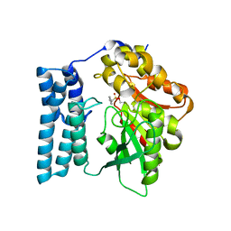 BU of 8qd4 by Molmil