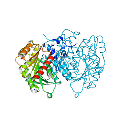 BU of 8qd5 by Molmil