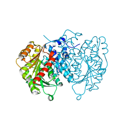 BU of 8qd6 by Molmil