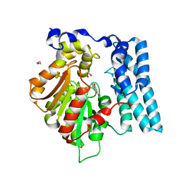 BU of 8qd8 by Molmil