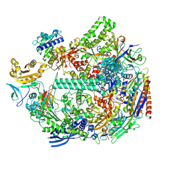 BU of 8qep by Molmil