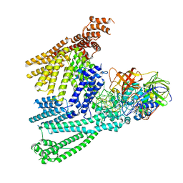 BU of 8qfs by Molmil