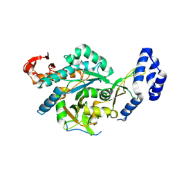 BU of 8qh2 by Molmil